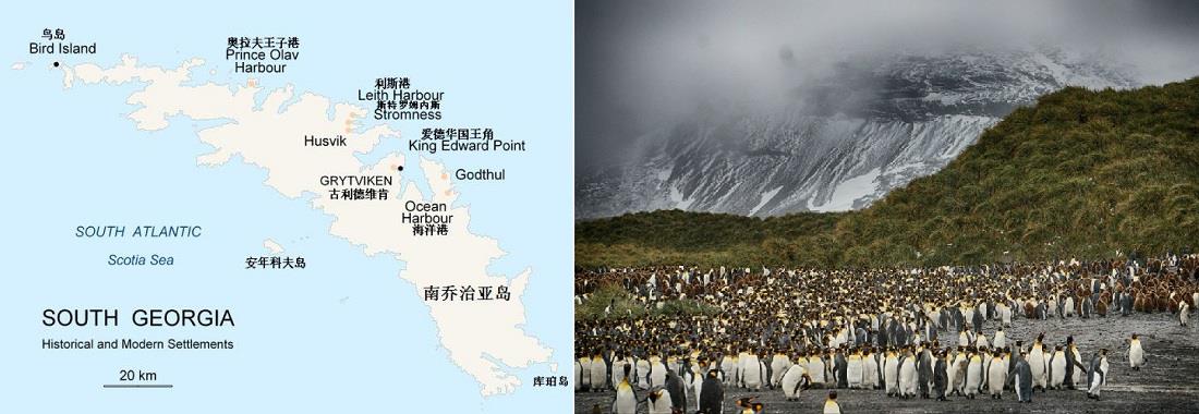 南喬治亞群島.jpg 南喬治亞群島.jpg