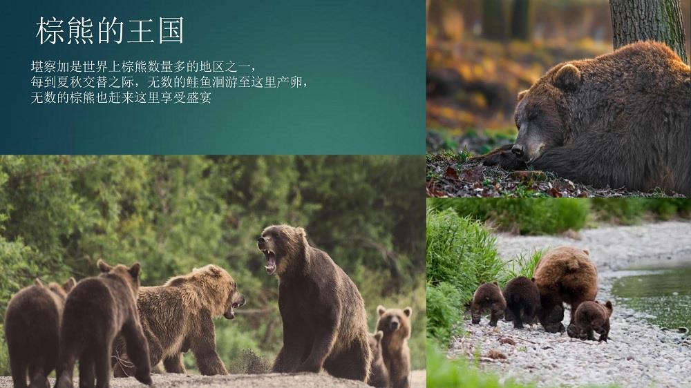 簡介-3.jpg