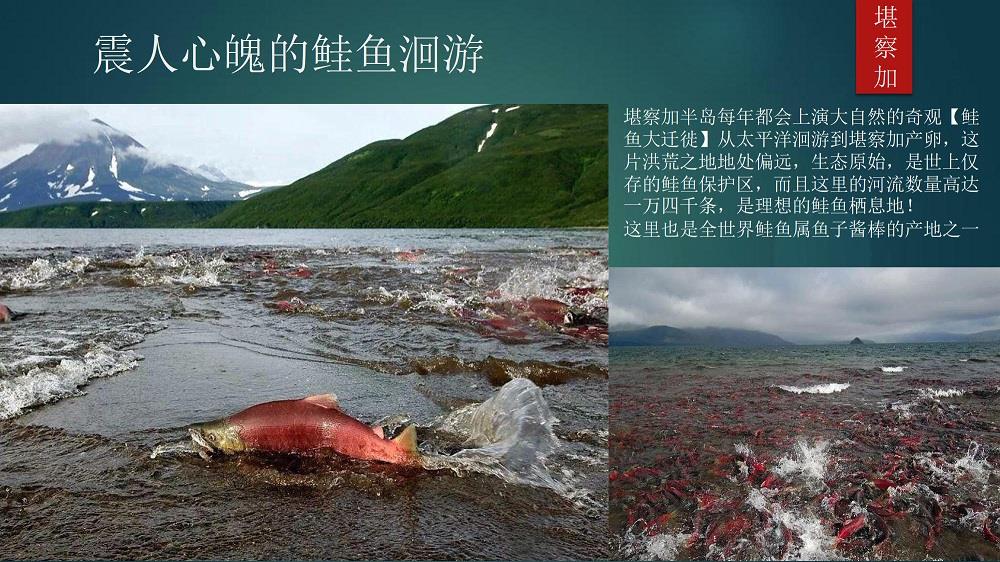 簡介-4.jpg