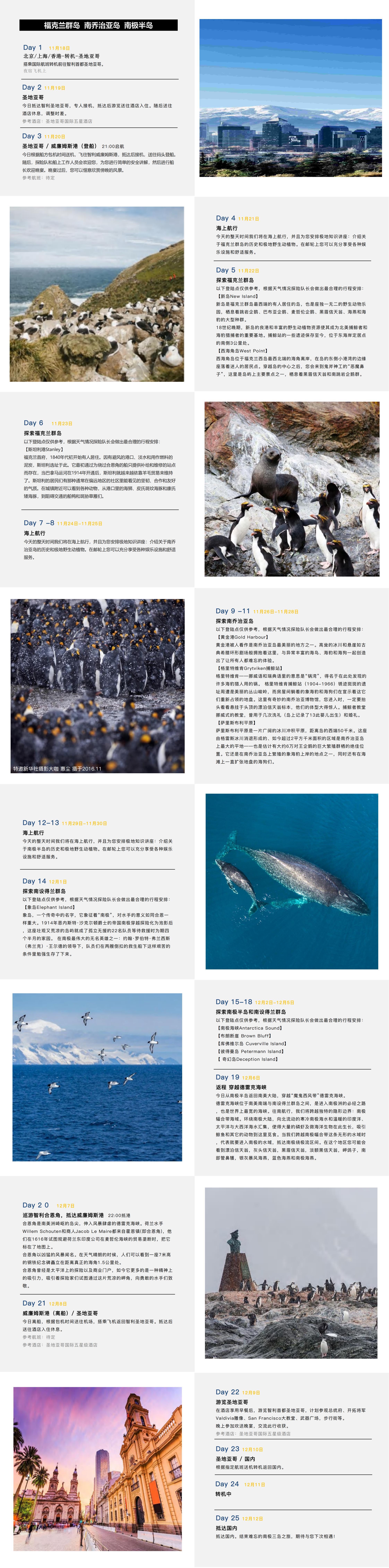 2023巡游南極三島 · 奇遇王企鵝_Silversea_TY_00(3).jpg
